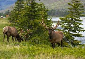 4 Ways to Experience the Wilderness of Canada